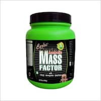 Mass Factor(1KG)